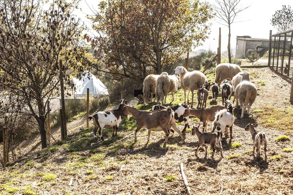 Azienda Agrituristica Alcastle Montabone エクステリア 写真