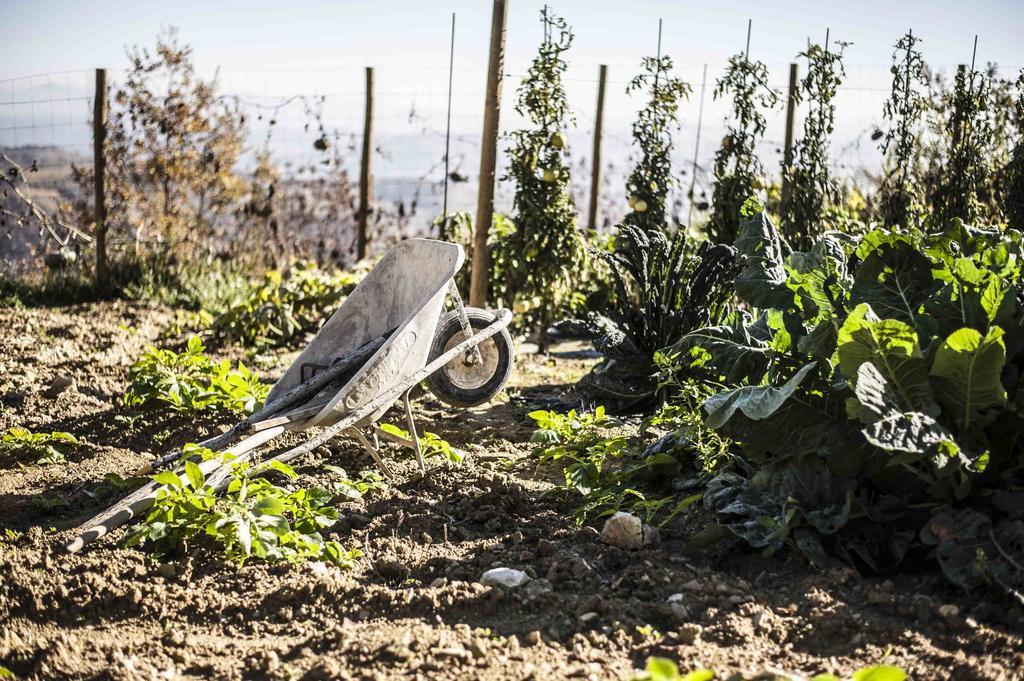 Azienda Agrituristica Alcastle Montabone エクステリア 写真
