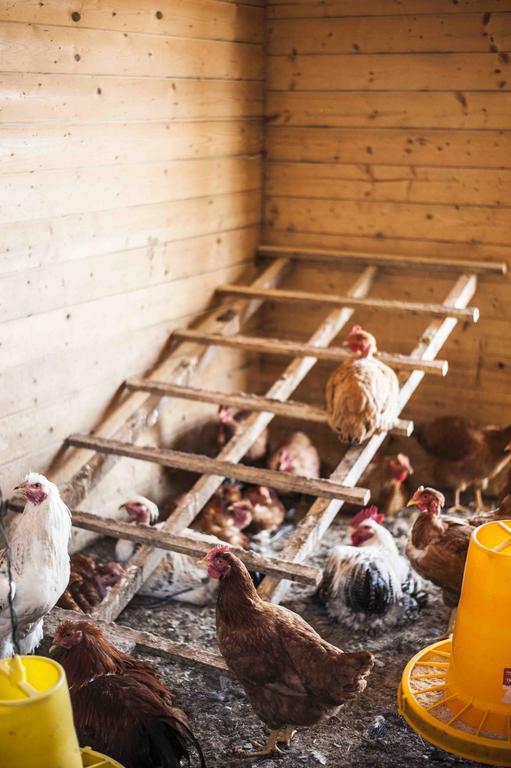 Azienda Agrituristica Alcastle Montabone エクステリア 写真