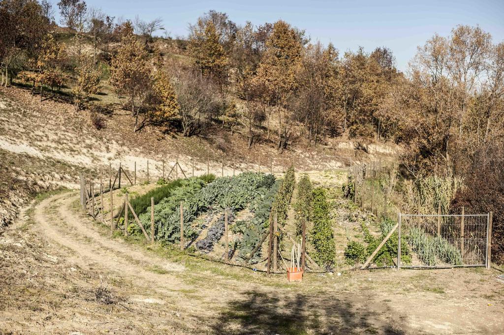 Azienda Agrituristica Alcastle Montabone エクステリア 写真