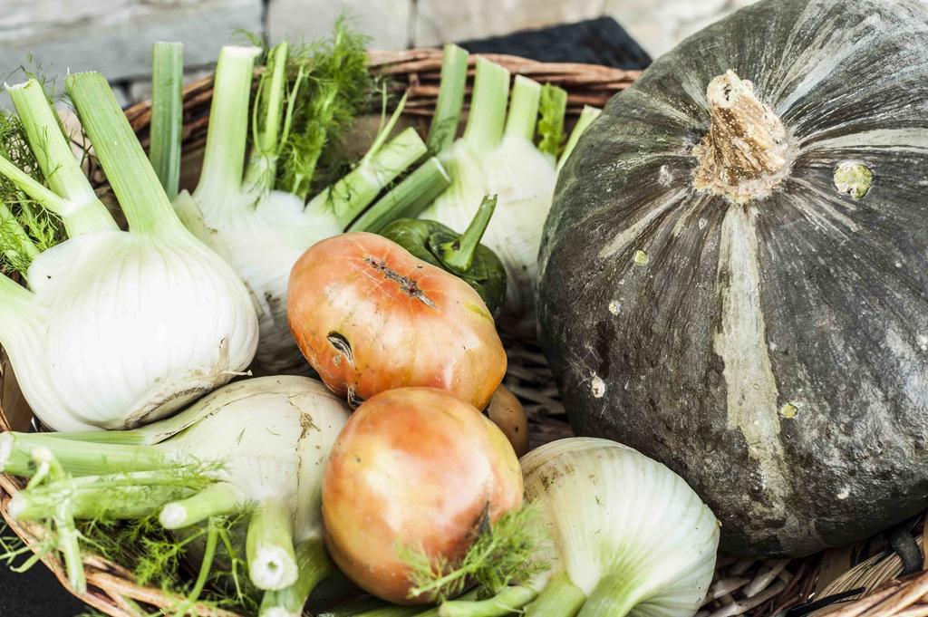 Azienda Agrituristica Alcastle Montabone エクステリア 写真