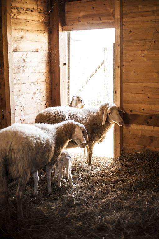 Azienda Agrituristica Alcastle Montabone エクステリア 写真